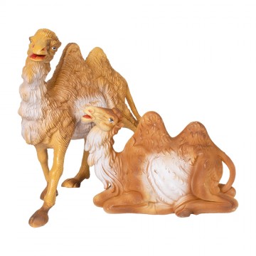 Cammelli Presepe per...