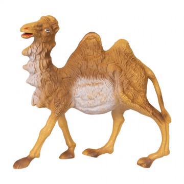Cammelli Presepe per...