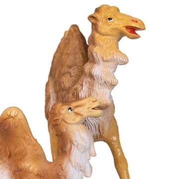 Cammelli Presepe per...