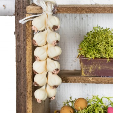 Bottega Frutta e Verdura...