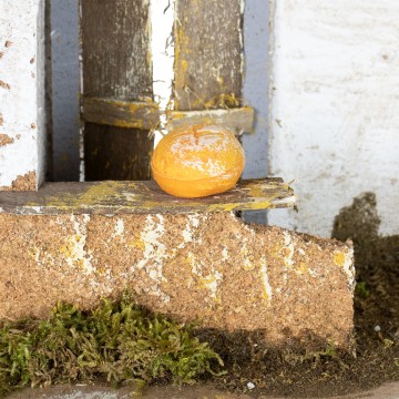 Bottega del Pane per Presepe