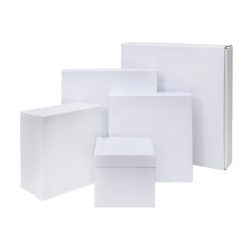 Raggiera Led in Plexiglass...