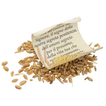 Bottiglina con Semi di...