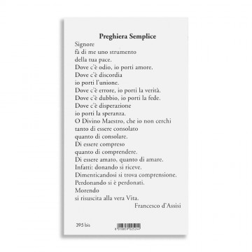 Santino Papa Francesco e...