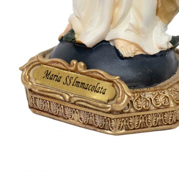 Statua Madonna Immacolata...