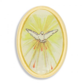 Spilla Medaglia Colomba...