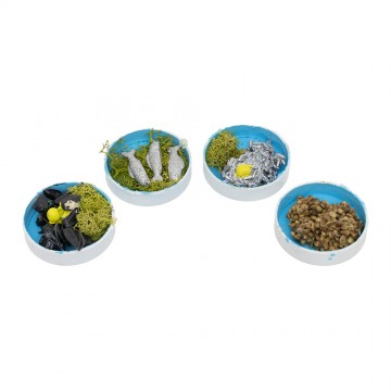 Cassette con Pesci per il...