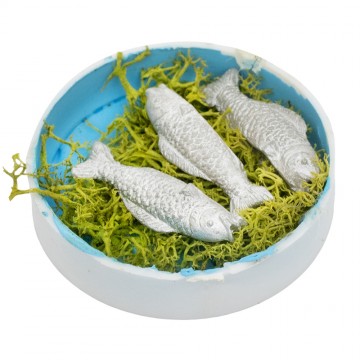 Cassette con Pesci per il...