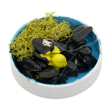 Cassette con Pesci per il...