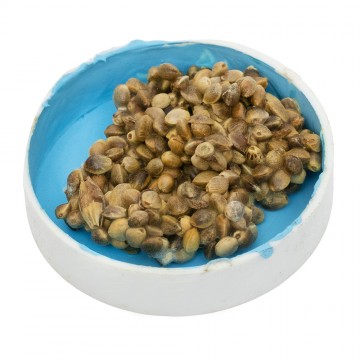 Cassette con Pesci per il...