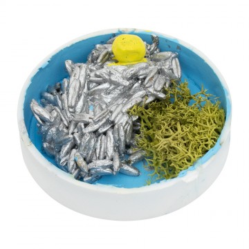 Cassette con Pesci per il...