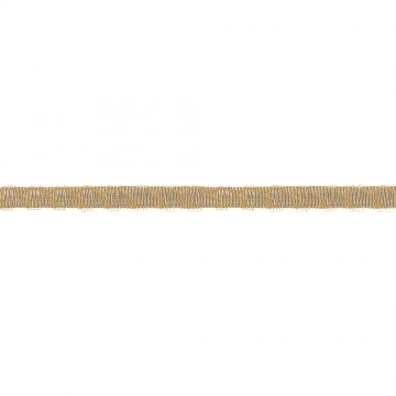 Bordo Argento per Paramenti...