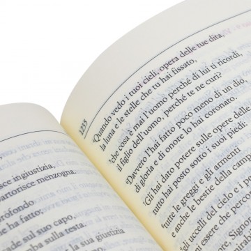 La Bibbia Scrutate le...