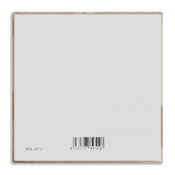 Piastrella Beato Carlo...