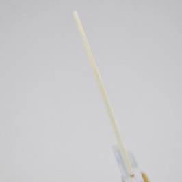 Ostie Consacrazione...