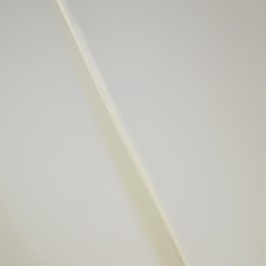 Ostia Magna Concelebrazioni...