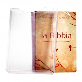 La Bibbia ed San Paolo