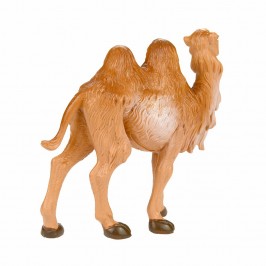 Cammello in Piedi Fontanini...