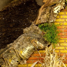 Capanna Presepe con Luce