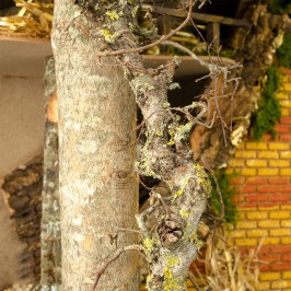 Capanna Presepe con Luce