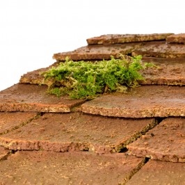 Capanna Presepe con Luce