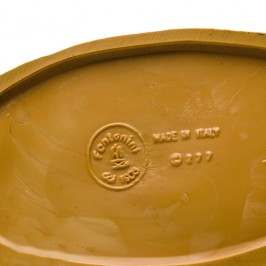 Pastore in Ginocchio che Cucina