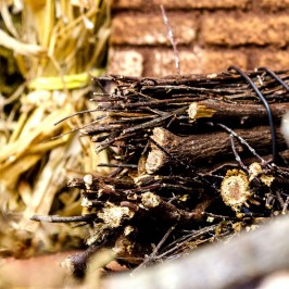 Capanna con Luce per il Presepe