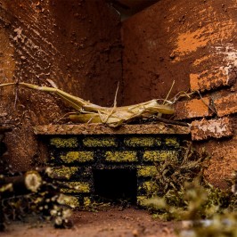 Capanna con Luce per il Presepe