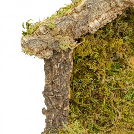 Capanna con Vero Muschio