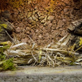 Capanna Presepe con Luci