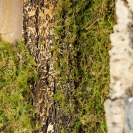 Capanna per la Natività 12 cm