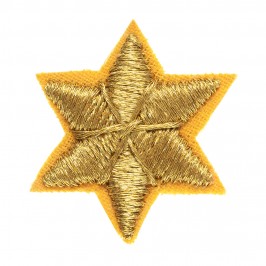 Applicazione Per Paramento Sacro