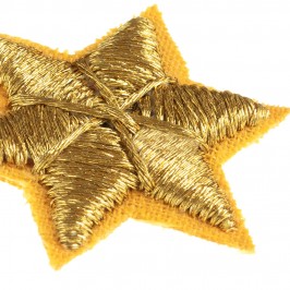 Applicazione Per Paramento Sacro