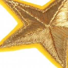 Applicazione Ricamata per Paramento