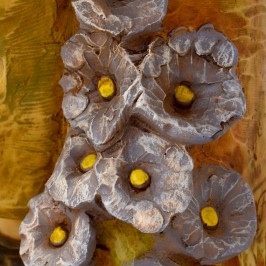 Bimbo con Flauto Fontanini 125 cm