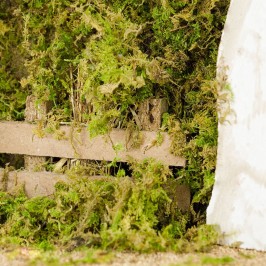 Capanna con Porta in Legno per il Presepe