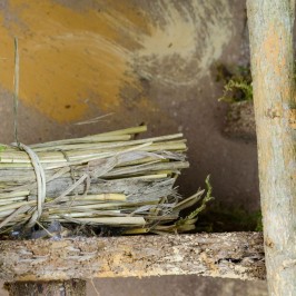 Capanna per Presepe 12 cm