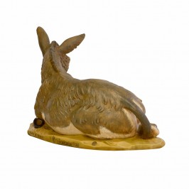 Asinello Fontanini 125 CM