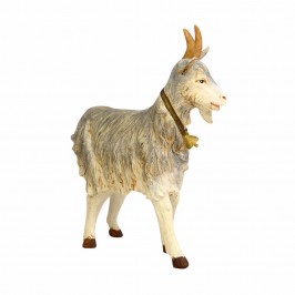 Capra Fontanini 125 CM