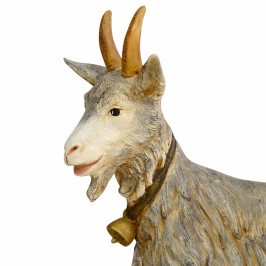 Capra Fontanini 125 CM