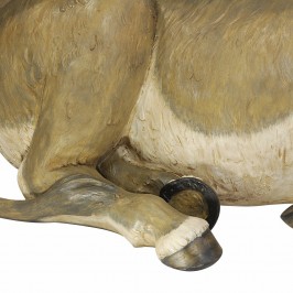 Asinello Fontanini 180 CM