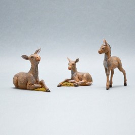 Famiglia Asini Fontanini