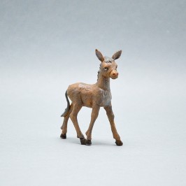 Famiglia Asini Fontanini