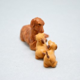 Famiglia Cani Fontanini