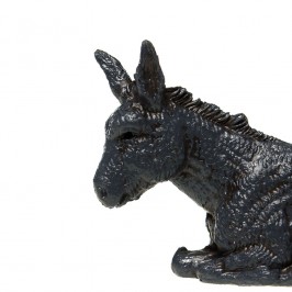 Asinello per la Natività