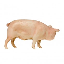 Animali da Fattoria per il Presepe