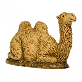 Cammelli per il Presepe