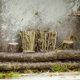 Capanna con Porta in Legno per 12 cm