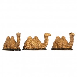 Cammelli Assortiti Landi 3,5 cm