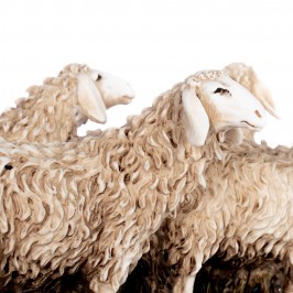 Gregge di Pecore per il Presepe 15 cm